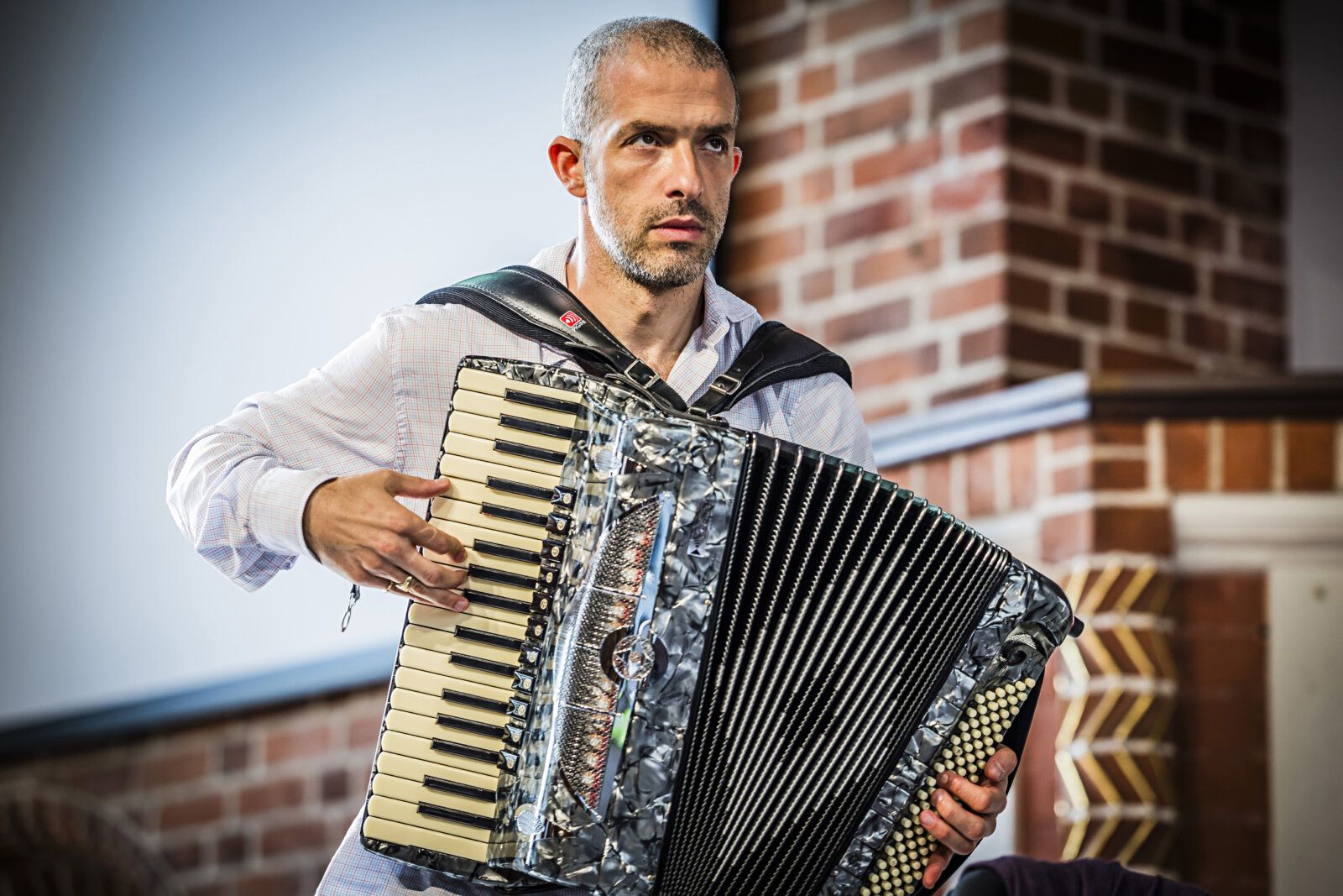 Akkordeon im Fokus